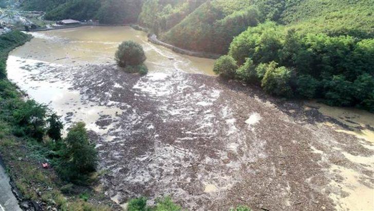 Sera Gölü odun, çöp ve balçıkla kaplandı G2