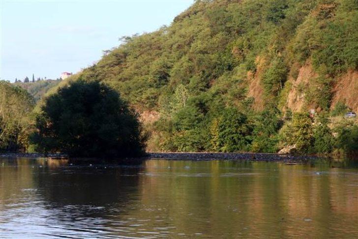 Sera Gölü odun, çöp ve balçıkla kaplandı G4