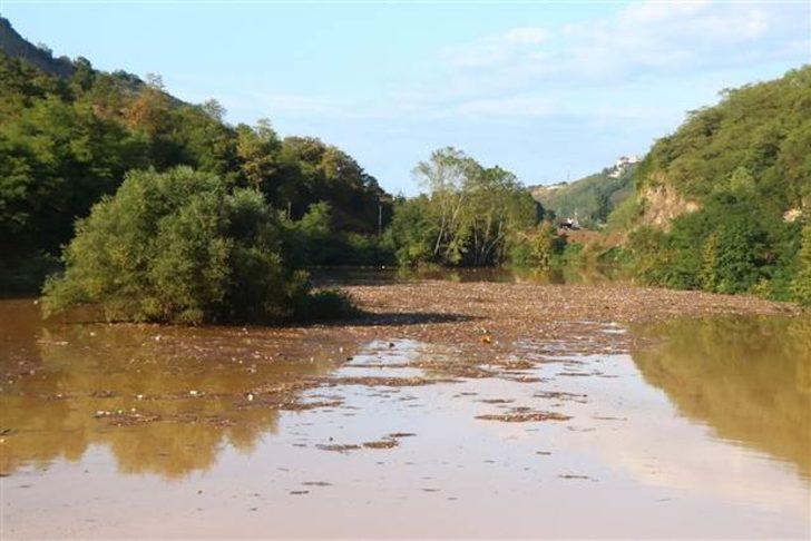 Sera Gölü odun, çöp ve balçıkla kaplandı G5