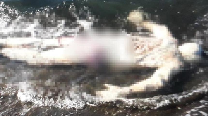 Kan donduran görüntü! Samsun'da denizde ceset bulundu