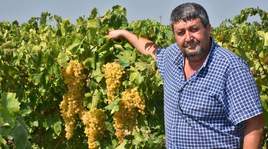 Kuru üzüm üreticisi kilosuna 9 TL fiyat istiyor
