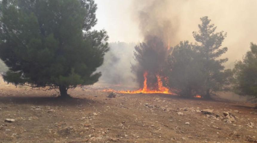 Göbeklitepe’de yangın çıktı