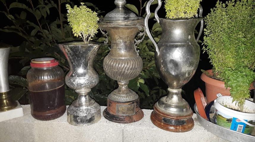 Denizlispor'un 10'a yakın şampiyonluk kupasında fesleğen yetiştirmişler!