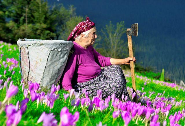 Karadeniz yaylalarında bayram renkleri