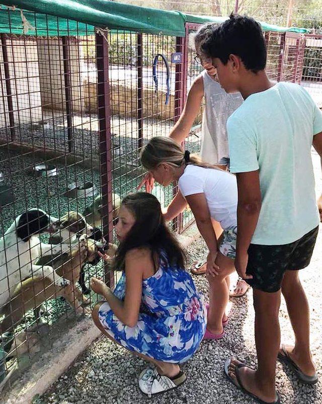 Çocuklar sokak hayvanları için seferber oldu