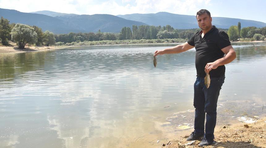 K&uuml;tahya'da toplu balık &ouml;l&uuml;mleri