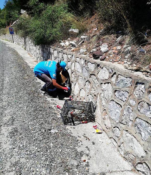 Marmaris'te bayramda 4 bin 500 ton çöp çıktı