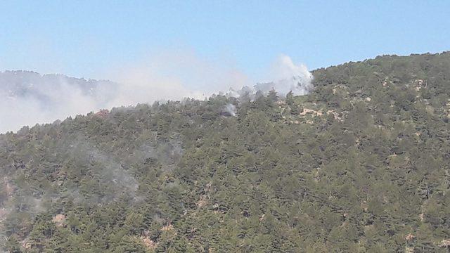 Hatay’da orman yangını (2)