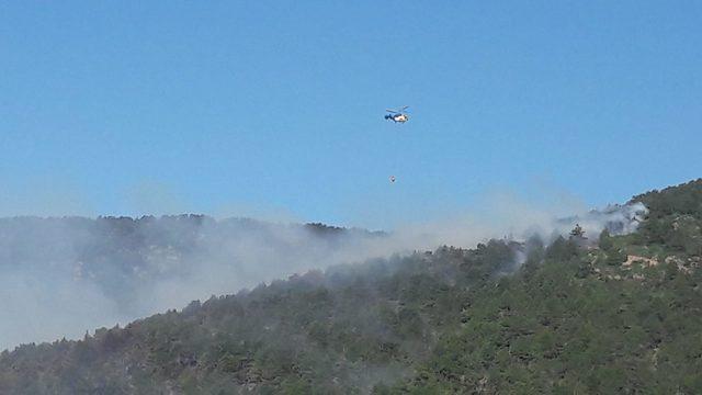 Hatay’da orman yangını (2)