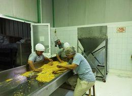 İtalya'da görüp Türkiye’de uyguladılar, para basıyorlar