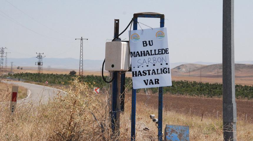 Et ve Süt Kurumu'ndan 'şarbon' açıklaması