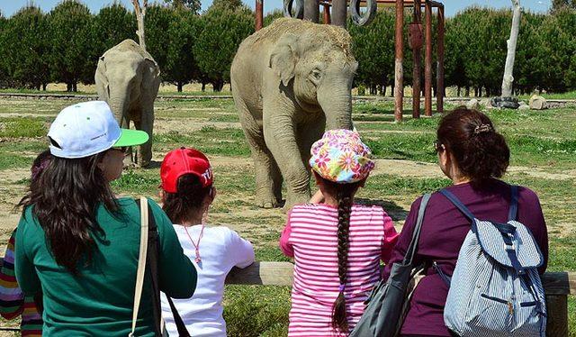 Doğal Yaşam Parkı'nı bayram tatilinde 47 bin 531 kişi ziyaret etti