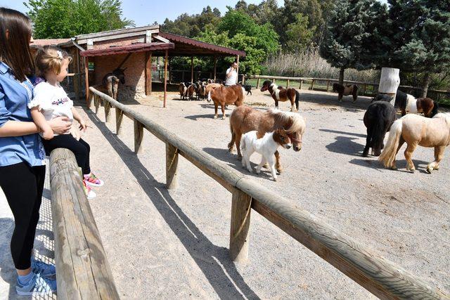 Doğal Yaşam Parkı'nı bayram tatilinde 47 bin 531 kişi ziyaret etti