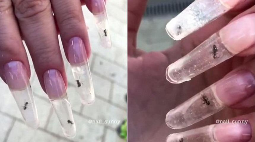 Sosyal medya ayağa kalktı! G&uuml;zellik merkezinin karıncalı manik&uuml;r&uuml; 'pes' dedirtti