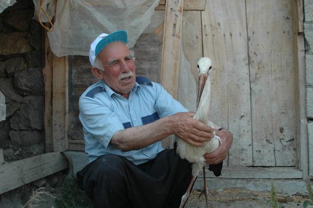 Sürüden ayrılan leyleğe vatandaş sahip çıktı