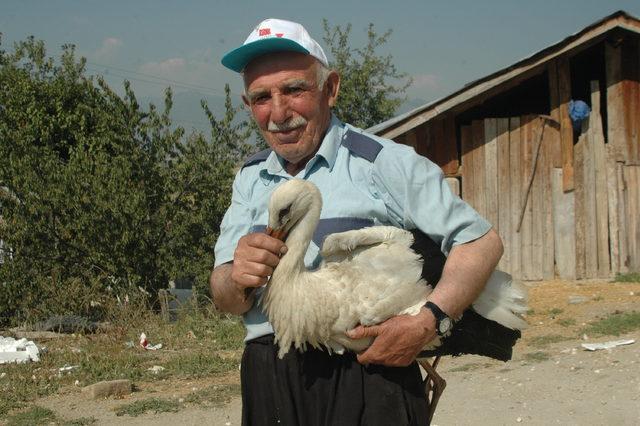 Sürüden ayrılan leyleğe vatandaş sahip çıktı