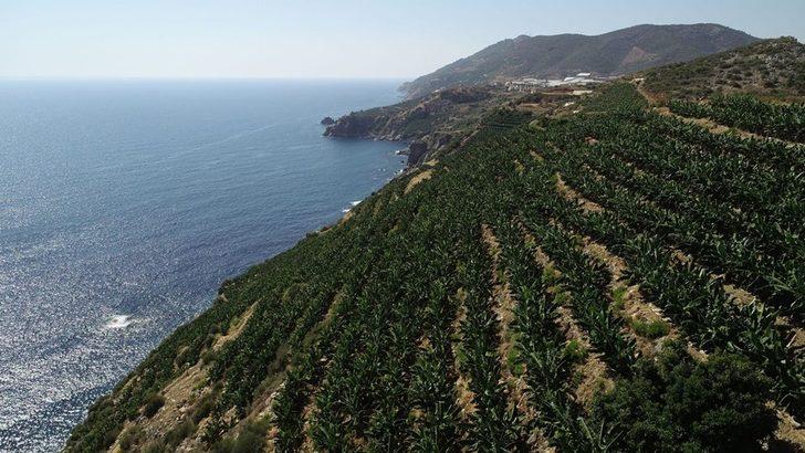 Antalya Gazipaşa'nın cennet koyları keşfedilmeyi bekliyor  G3