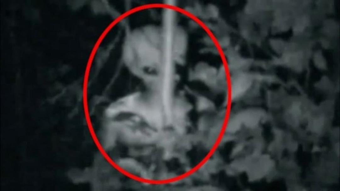 ABD'nin gizli &uuml;ss&uuml; Area 51 esrarını halen koruyor! İ&ccedil;inde ne var?