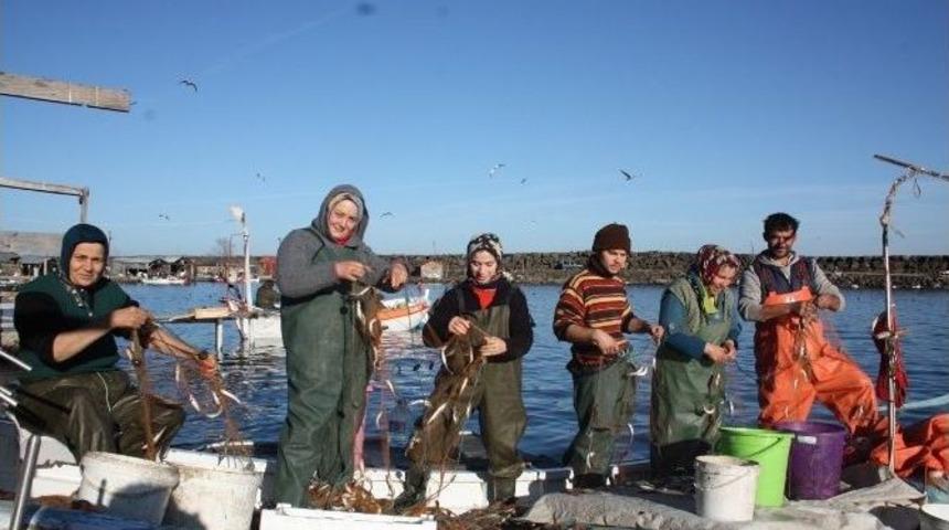 Giresun&rsquo;un Balık&ccedil;ı Kadınları