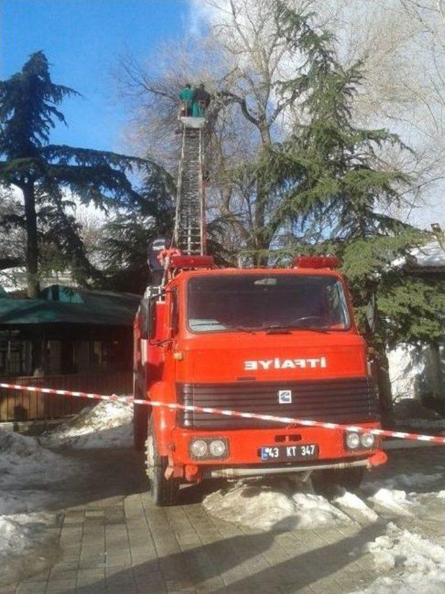 Kütahya Belediyesi’nden Ağaç Bakım Ve Budama Çalışması