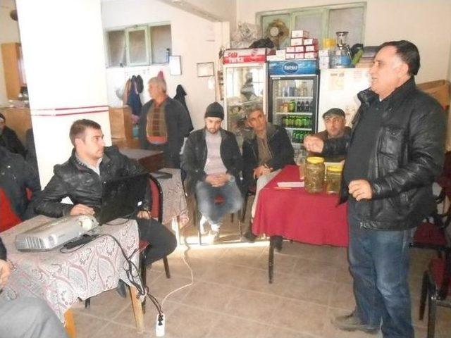 Dursunbey’de Salatalık Ekimi, Bakımı Ve Hasadı Hakkında Toplantı