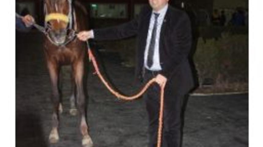 Yarış Atı Yetiştiricileri Kongreye Gidiyor