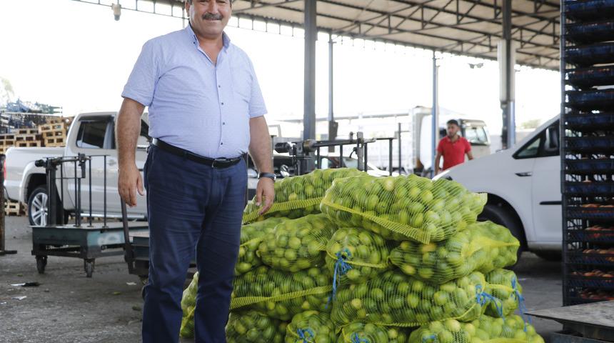 Limon fiyatına 'turfanda' ayarı