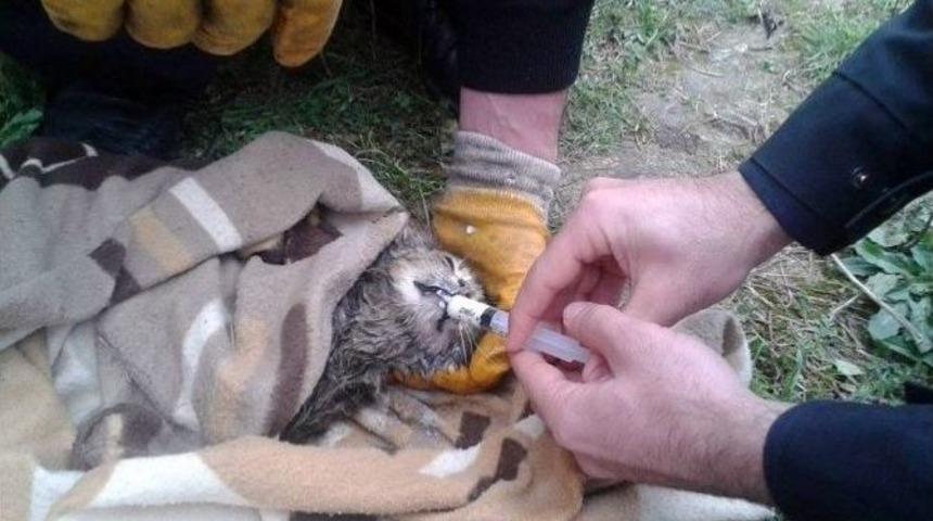 Hayat Kurtaran Operasyon