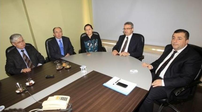 Gebze&rsquo;de Tis G&ouml;r&uuml;şmeleri Başladı