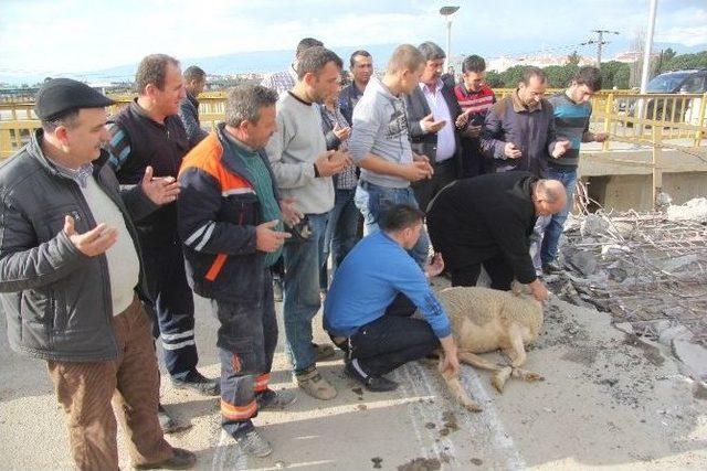 Karınca Deresi Köprüsü Yıkılıyor