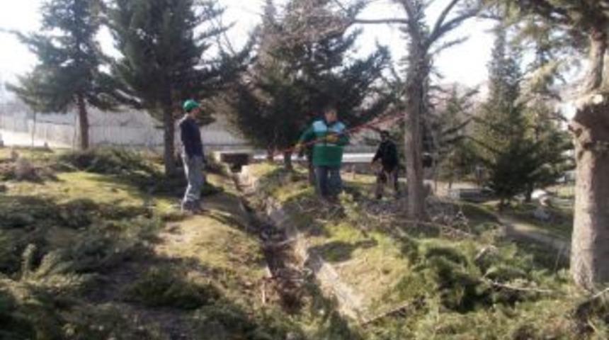 Tecde Mezarlığındaki Ağa&ccedil;larda Budama &Ccedil;alışmaları Yapıldı