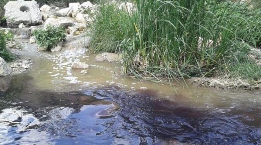 Atat&uuml;rk Baraj G&ouml;l&uuml;nde Kirlilik Araştırması