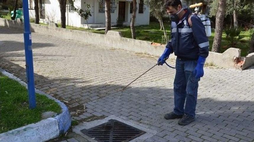 Fo&ccedil;a&rsquo;da Haşereye Ge&ccedil;it Yok