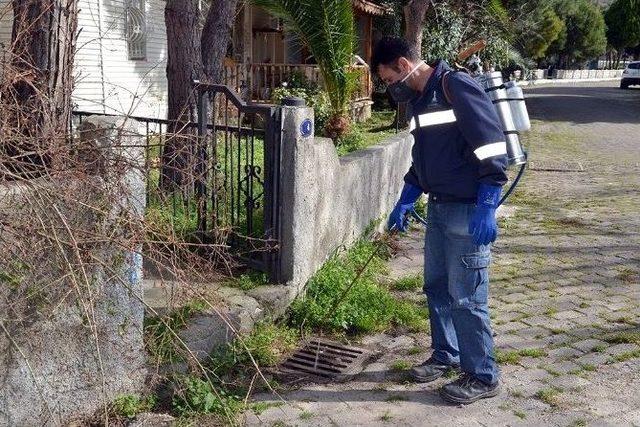 Foça’da Haşereye Geçit Yok