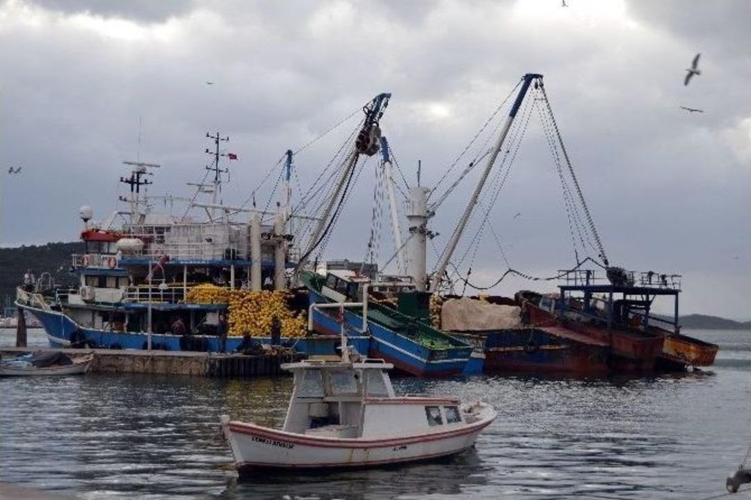 Suriyeli 22 M&uuml;lteciyi &Ouml;l&uuml;mden Balık&ccedil;ılar Kurtardı