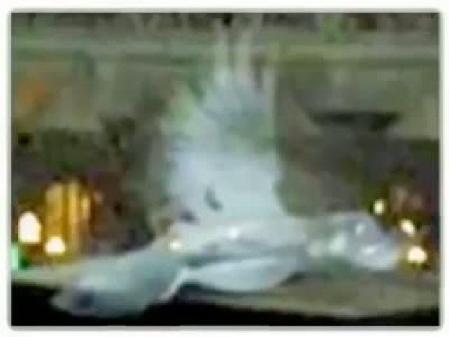 Kabe nin üzerindeki esrarengiz görüntüler 19