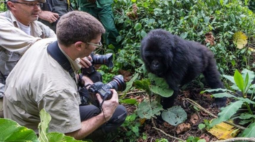 Hayvanlar aleminde o anlar