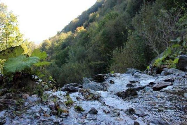 Sakarya’Da Su Fabrikalarına Büyük Gözaltı