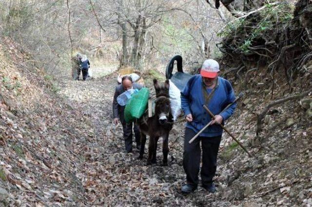 Yolu Olmayan Evlerine Eşekle Eşya Taşıyorlar