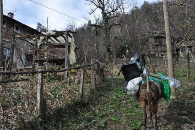 Yolu Olmayan Evlerine Eşekle Eşya Taşıyorlar