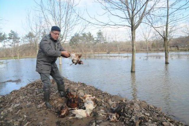 Sular Çekildi, Çamur Ve Kum Deryası Kaldı