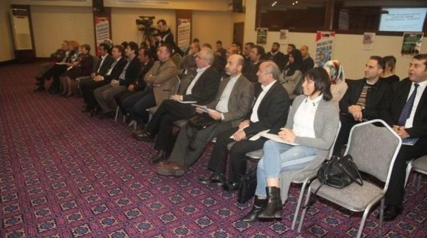 Uluslararası Roman Sorunları &Ccedil;alıştayı Yapıldı