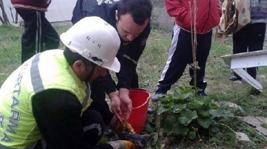 Sıkıştığı Borudan Kurtarılan Yavru Kediye Şırıngayla S&uuml;t Verildi