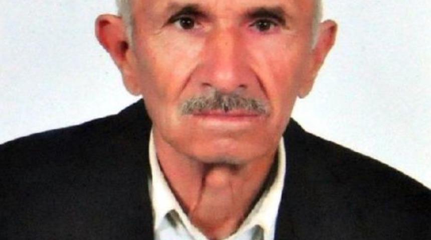 Ormana Ot Toplamaya Gitti Bir Daha D&ouml;nmeli