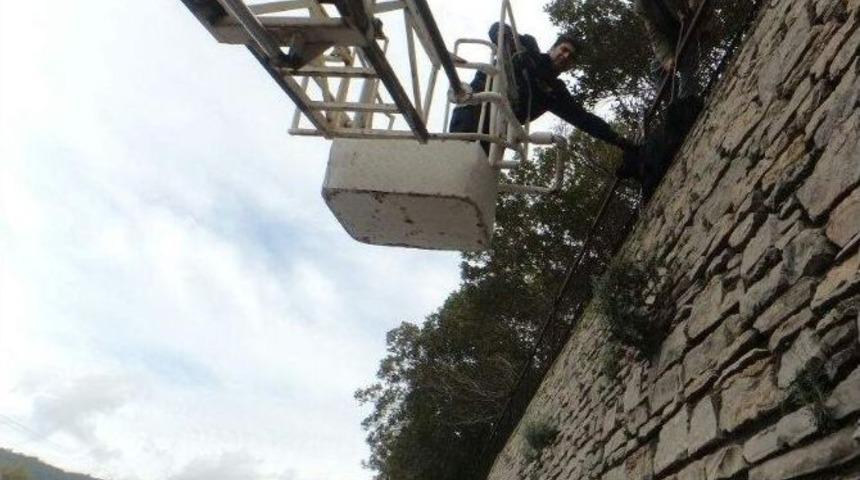 K&ouml;peğin İmdadına Kurtarma Ekipleri Yetişti