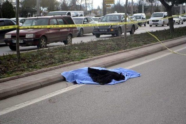 Yolun Karşısına Geçmek İsterken Otomobilin Altında Can Verdi