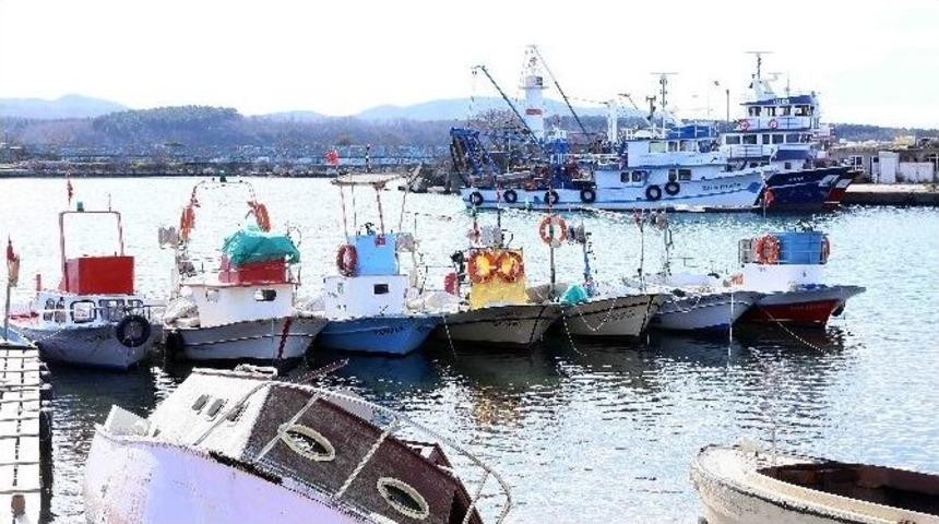 Kefken Limanı G&uuml;zelleşecek