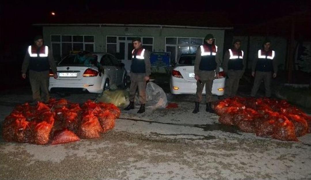 Edirne&rsquo;de Ka&ccedil;ak Midye Operasyonu