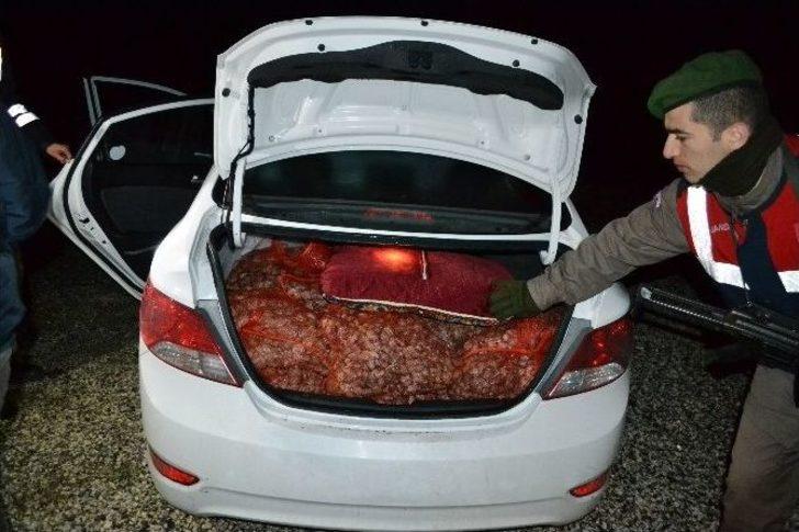 Edirne’de Kaçak Midye Operasyonu G3