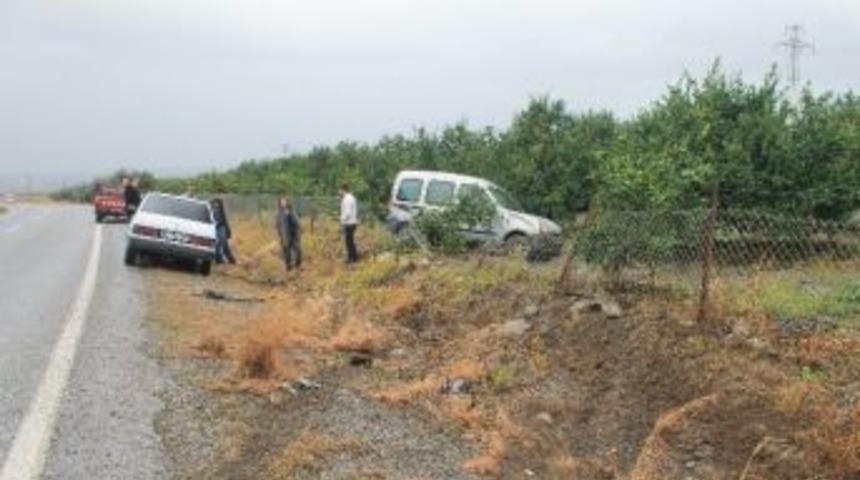 Takla Atarak Narenciye Bah&ccedil;esine Girdi